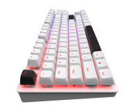 DARK PROJECT DPO87 White TKL G3MS Sapphire Hot-Swap DPP87_GSH_WHITE_ANSI_ENG - 1279858 - zdjęcie 9